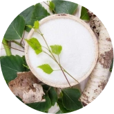 Phytomem One ingrediant